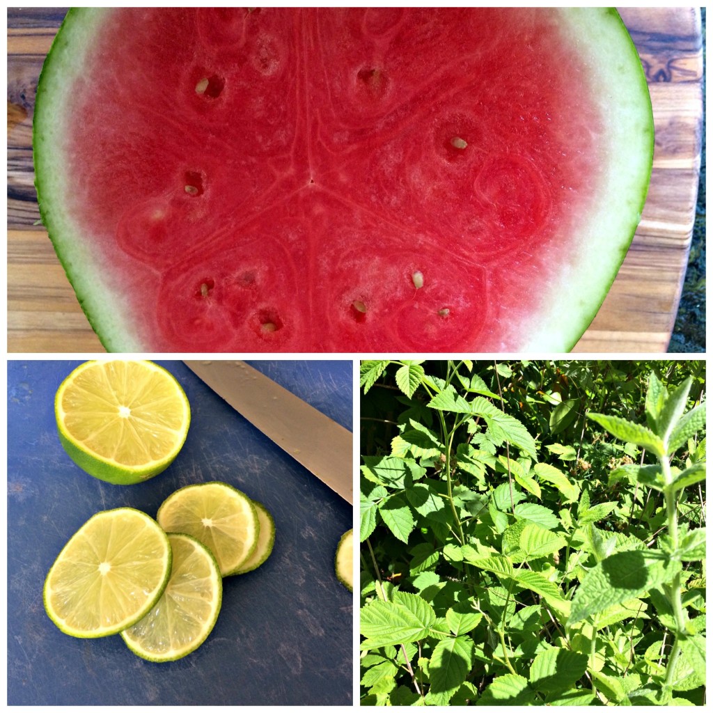 Watermelon Cooler Ingredients