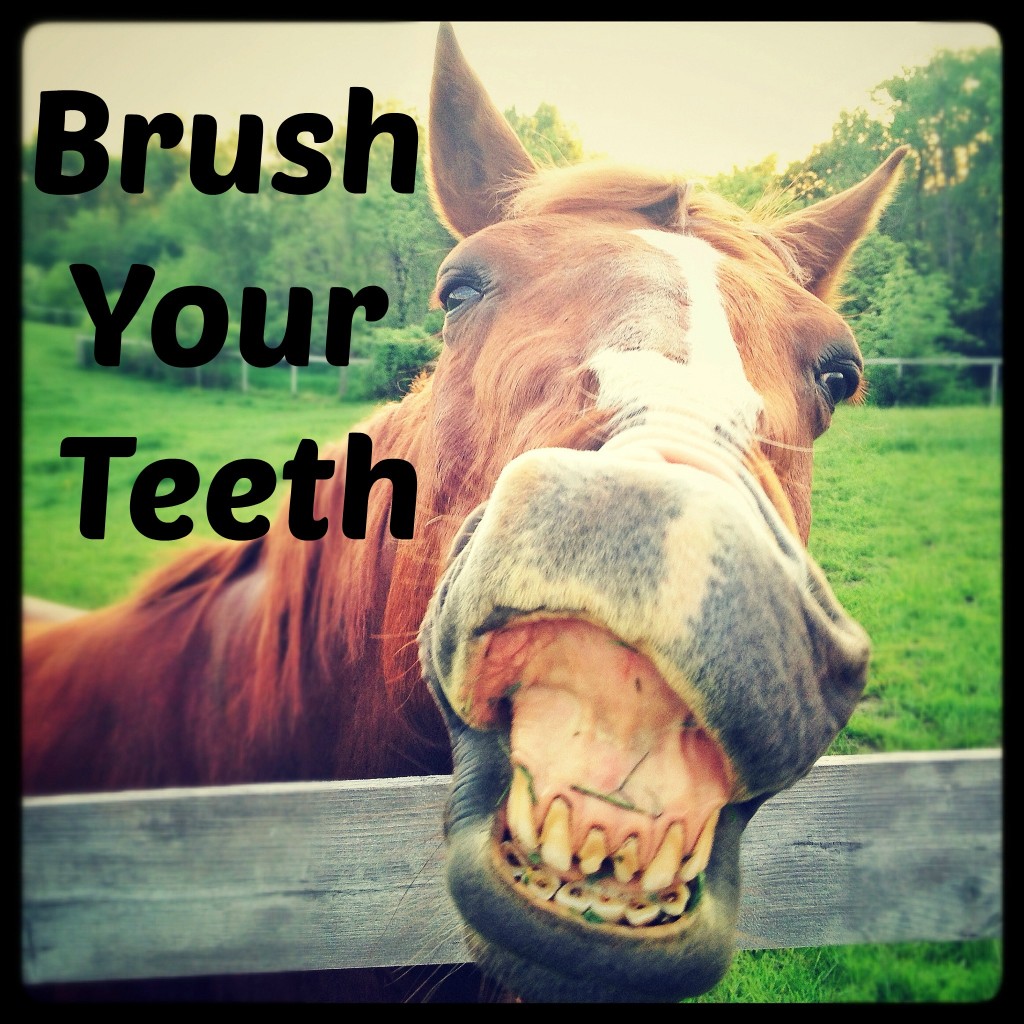 Brush Your Teeth!